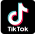 TikTok Logo