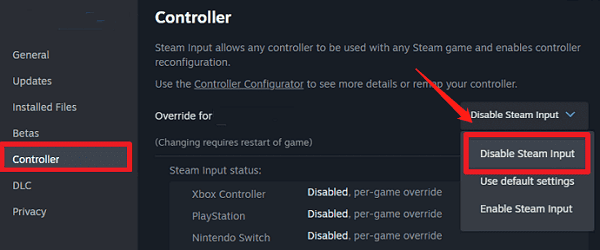 disable-steam-input