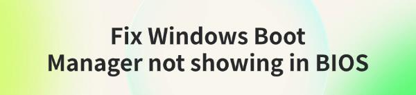 windows-boot-manager-not-showing-in-BIOS