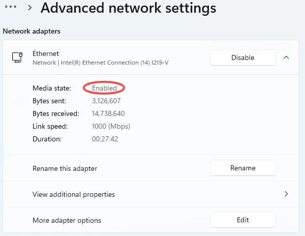 check-network-adapter-settings