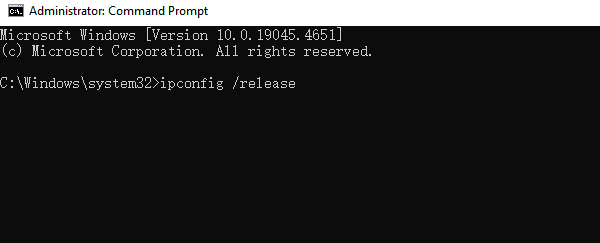 release-the-current-IP-address