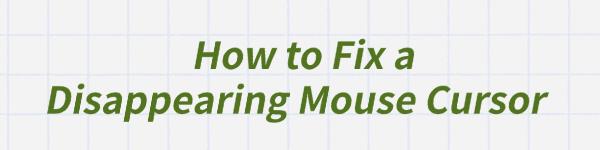 fix-a-disappearing-mouse-cursor