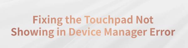 touchpad-not-showing-in-device-manager