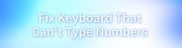 keyboard-cant-type-numbers