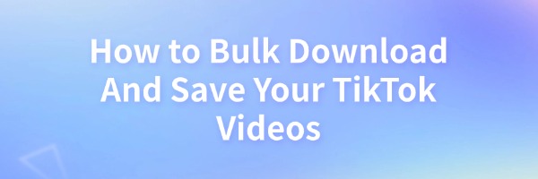 bulk-download-and-save-your-tiktok-videos