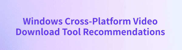 windows-cross-platform-video-download-tool