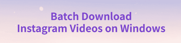 batch-download-instagram-videos-on-windows